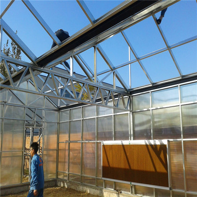 阳光板温室大棚价格 厂家直销阳光板温室大棚批发承建